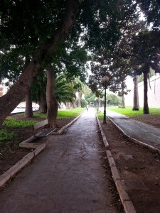 A footpath going through the trees in Cartagena