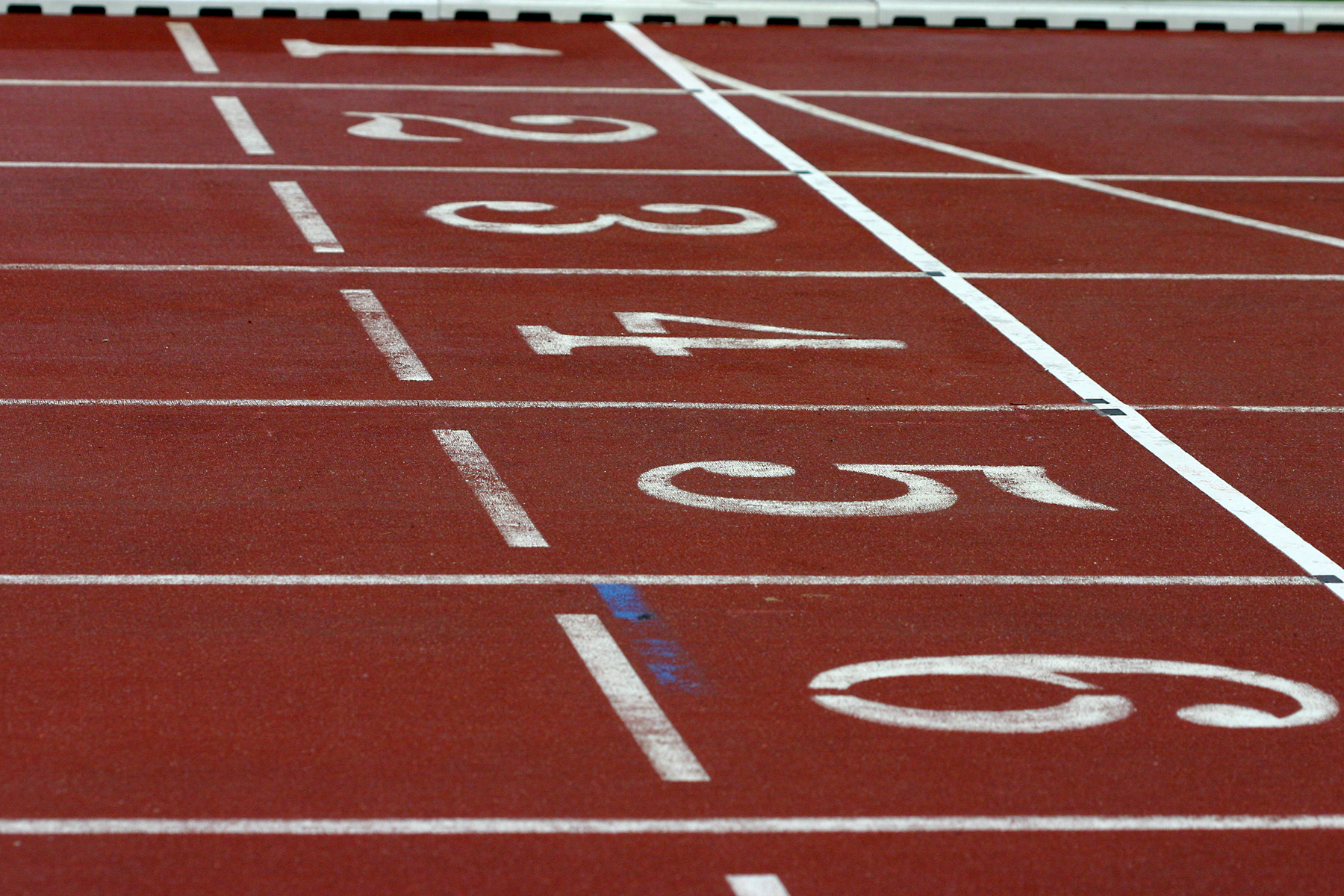 Photo of the starting line on a race track